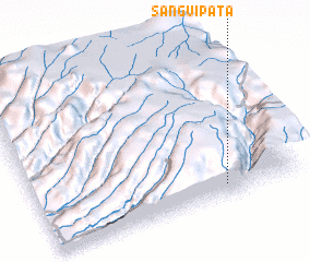 3d view of Sanguipata