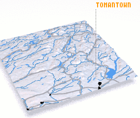 3d view of Tomantown