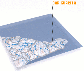 3d view of Bariguarita