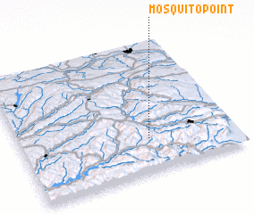 3d view of Mosquito Point