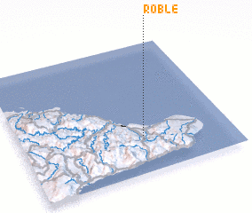 3d view of Roble