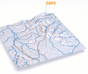 3d view of Sapo