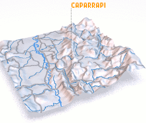 3d view of Caparrapí