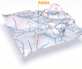 3d view of Paras