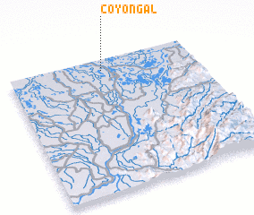 3d view of Coyongal