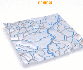 3d view of Cominal