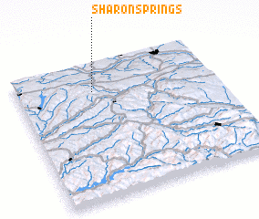 3d view of Sharon Springs