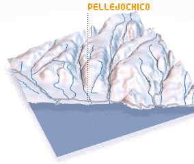 3d view of Pellejo Chico