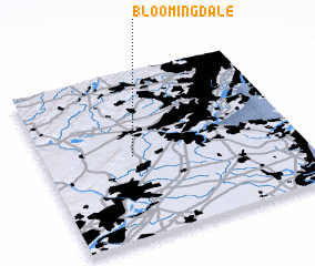 3d view of Bloomingdale