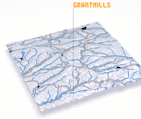 3d view of Grant Mills