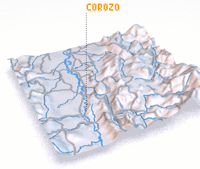 3d view of Corozo