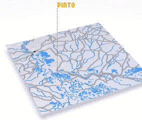 3d view of Pinto