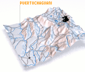 3d view of Puerto Chaguaní