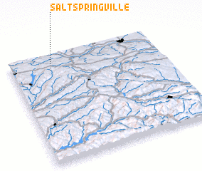 3d view of Salt Springville