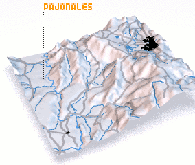 3d view of Pajonales
