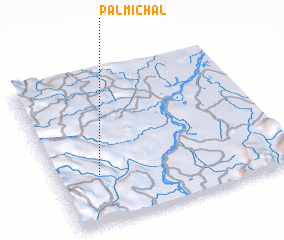 3d view of Palmichal