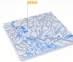 3d view of Bravo