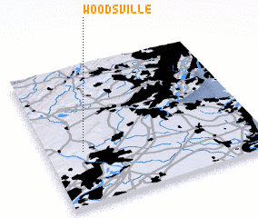 3d view of Woodsville