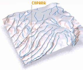 3d view of Copara