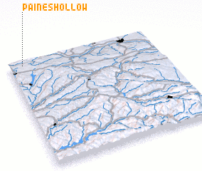 3d view of Paines Hollow