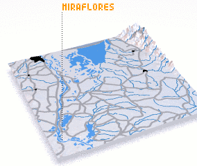 3d view of Miraflores
