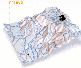 3d view of Coloya