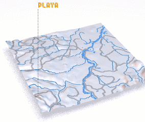 3d view of Playa