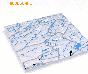 3d view of Woods Lake