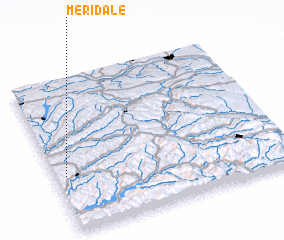 3d view of Meridale