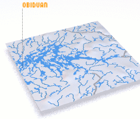 3d view of Obiduan