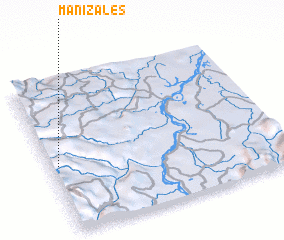 3d view of Manizales