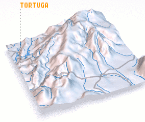 3d view of Tortuga