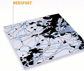 3d view of Hensfoot