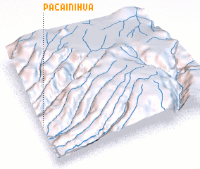 3d view of Pacainihua