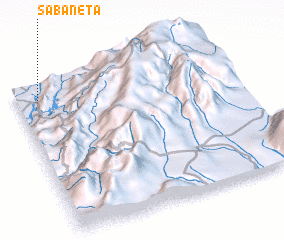 3d view of Sabaneta