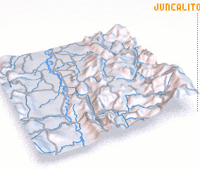 3d view of Juncalito