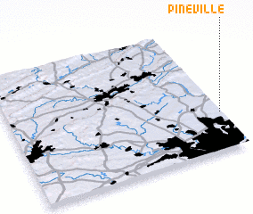 3d view of Pineville