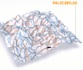 3d view of Palocabildo