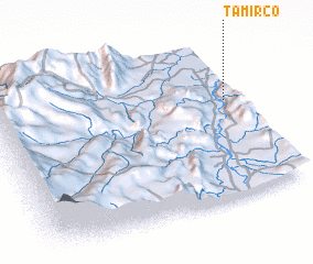 3d view of Tamirco