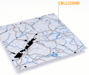 3d view of Callicoon