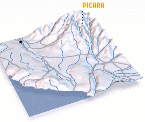 3d view of Picara