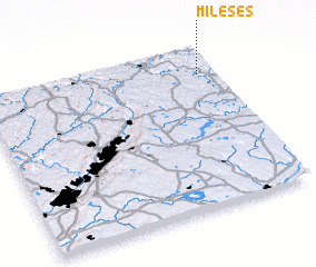 3d view of Mileses