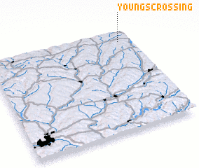 3d view of Youngs Crossing