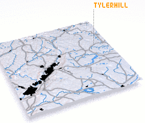 3d view of Tyler Hill