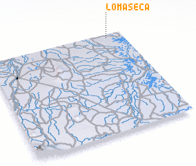 3d view of Loma Seca