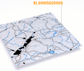 3d view of Blooming Grove