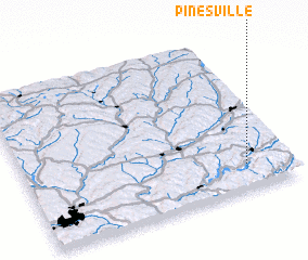 3d view of Pinesville