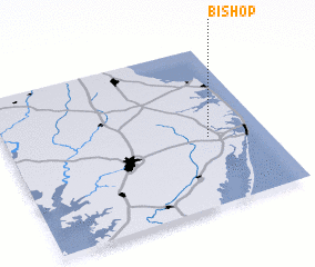 3d view of Bishop