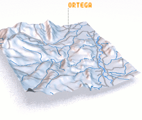 3d view of Ortega