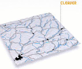 3d view of Cleaver